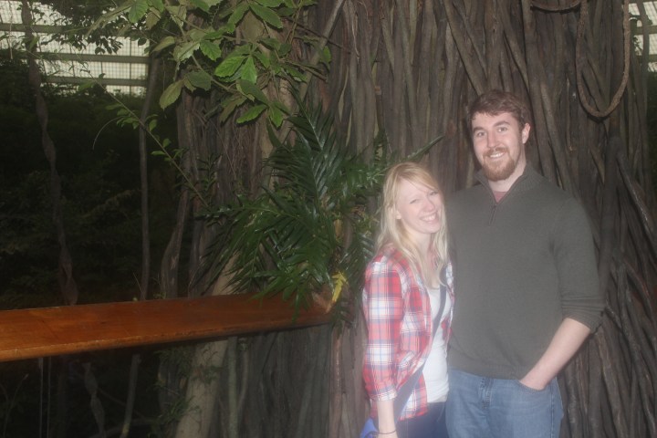 Christmas and January 249