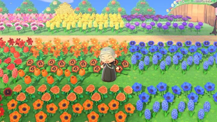 98471867_10217059427383735_3119746325487288320_o