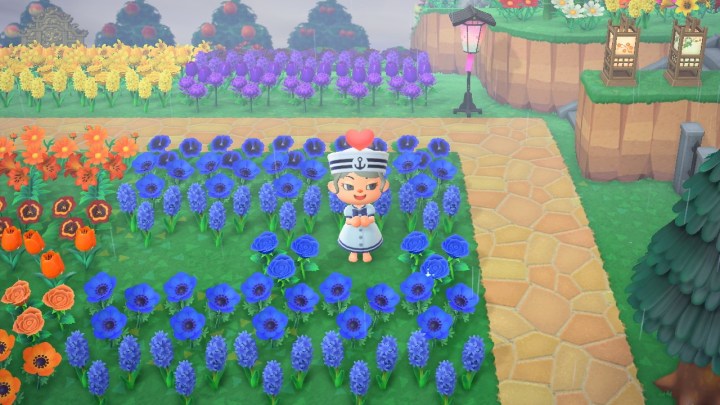 116217106_10217609446173861_1636586496464741002_o